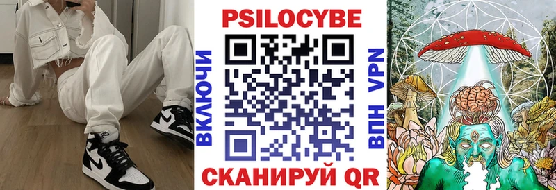 дарнет шоп  Гдов  hydra рабочий сайт  Псилоцибиновые грибы Magic Shrooms 